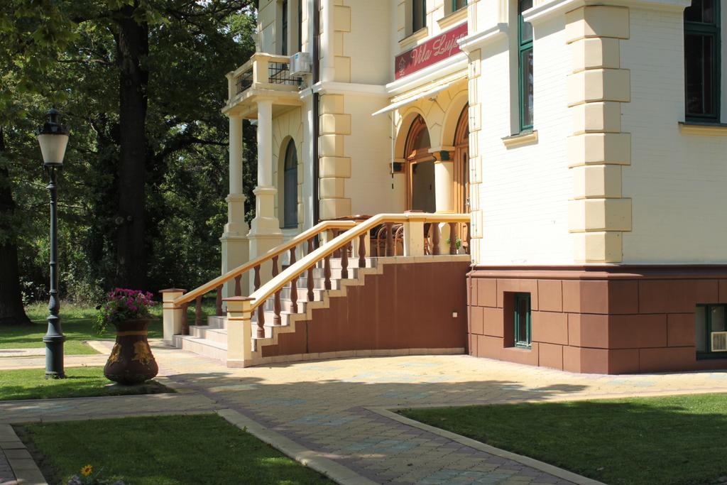 Guest House Vila Lujza Palić Exterior foto